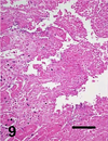 Fig. 9