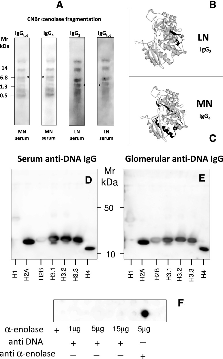 Figure 6.