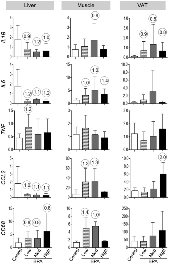 Figure 2: