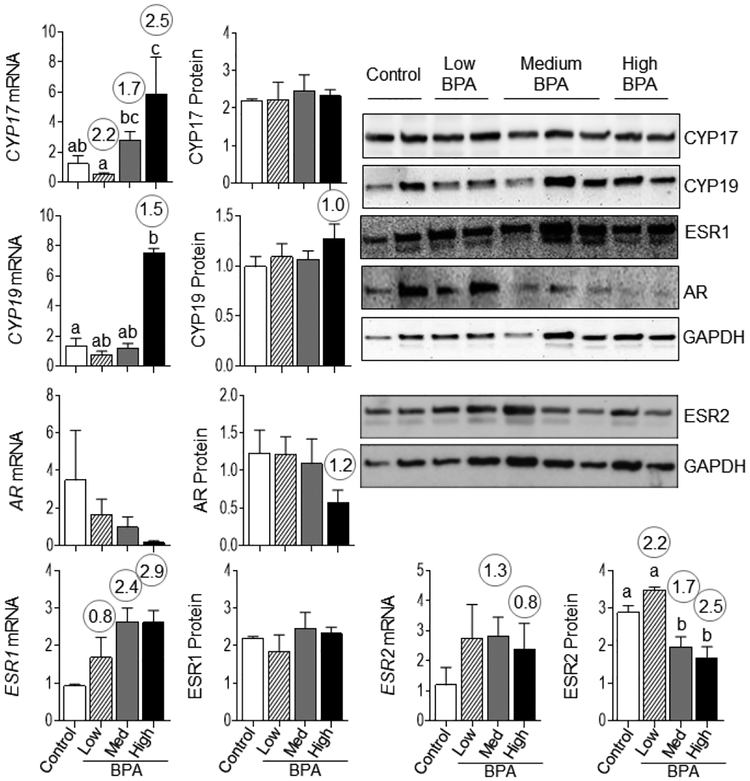 Figure 7: