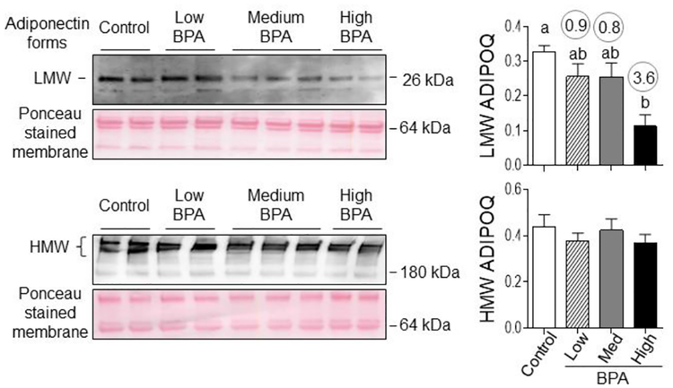 Figure 6: