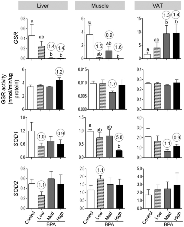 Figure 4: