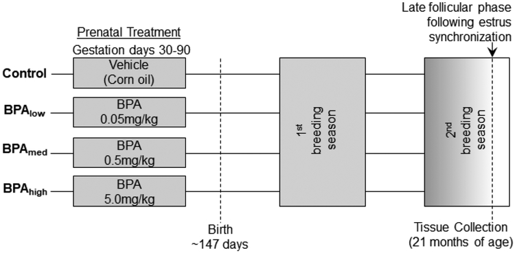 Figure 1: