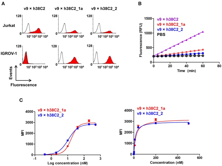 Figure 2