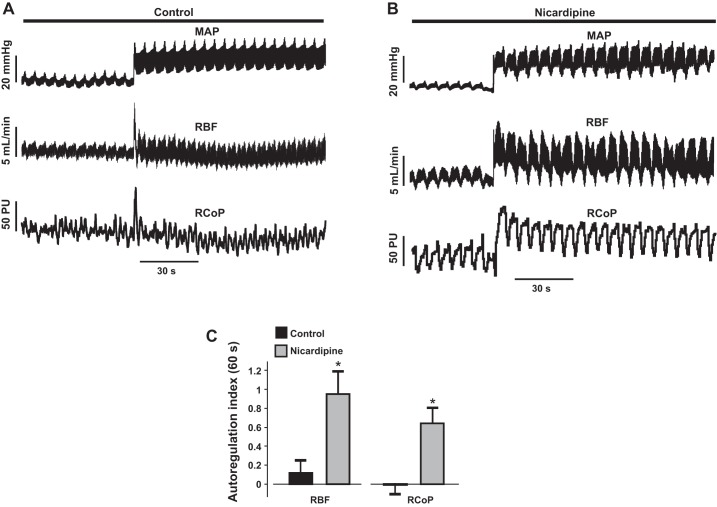 Fig. 8.