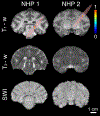 Fig. 9: