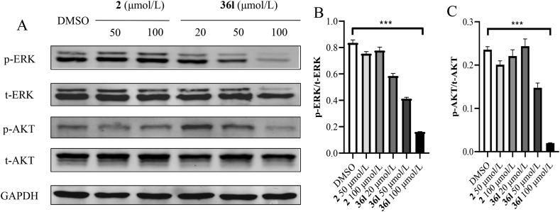 Figure 6