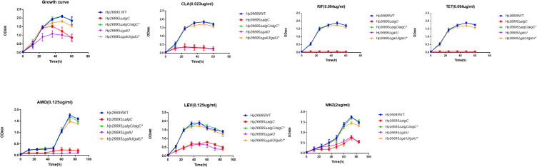 Figure 2