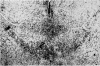 436-2