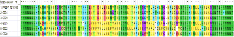 Fig. 6