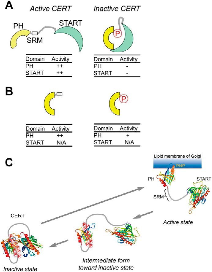 Figure 5.