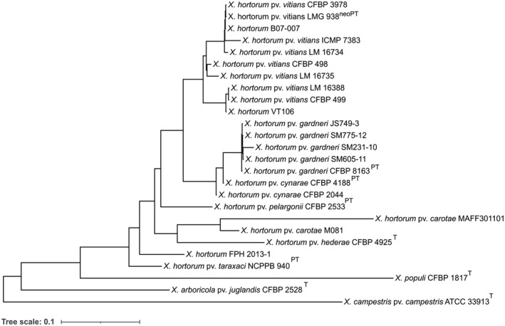 FIGURE 2