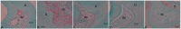 Fig 5