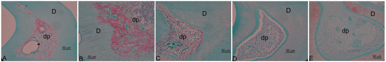 Fig 5