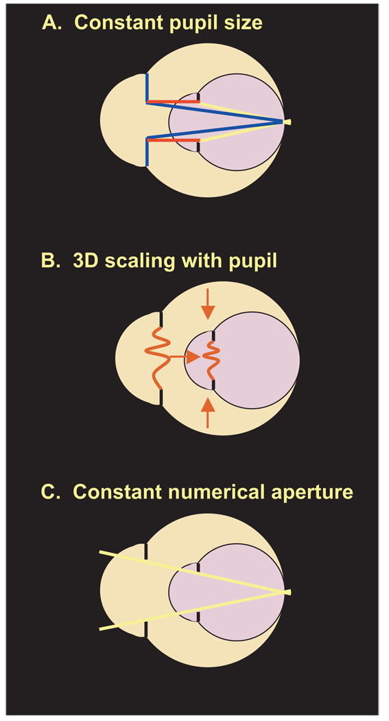 Figure C1