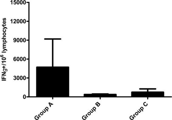 Fig 5