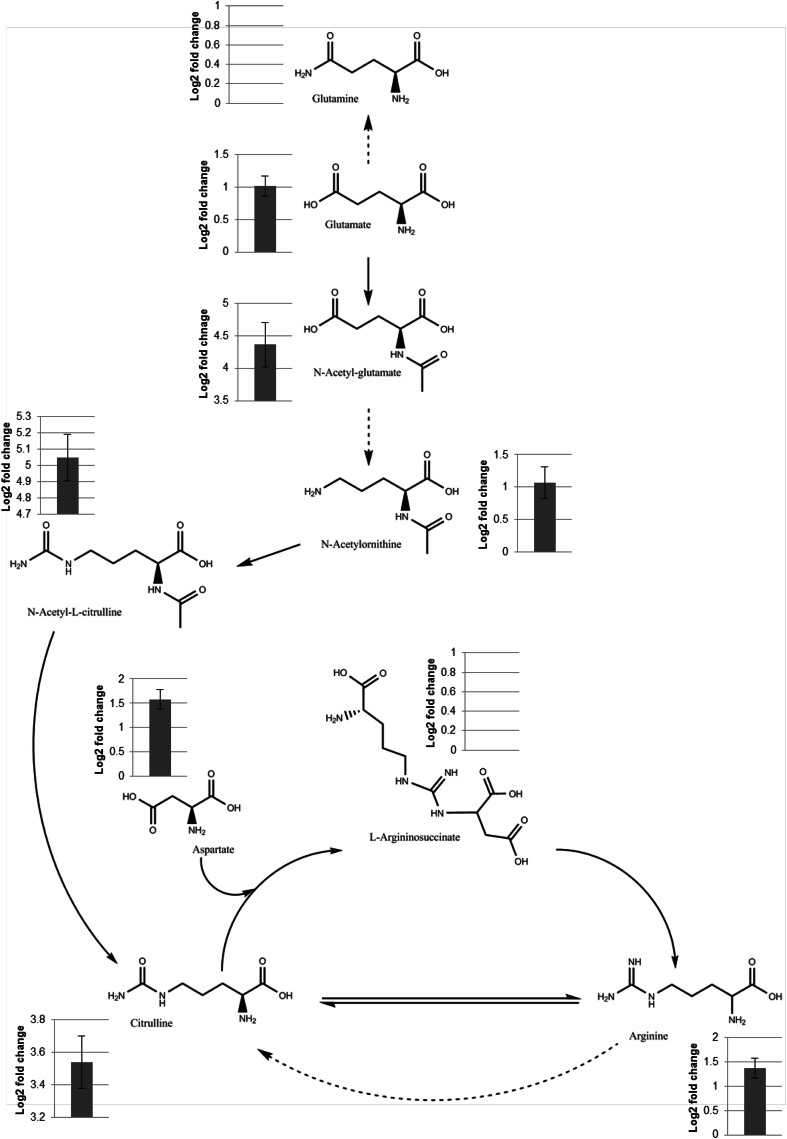 Fig. 3