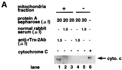 graphic file with name cdf171f9a.jpg