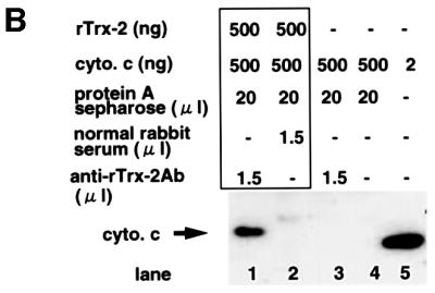 graphic file with name cdf171f9b.jpg