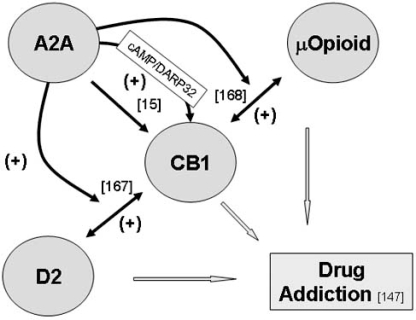 Fig. (3)