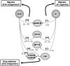 Fig. (1)