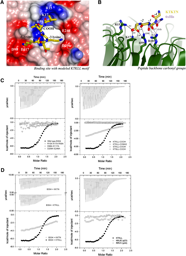 Figure 2