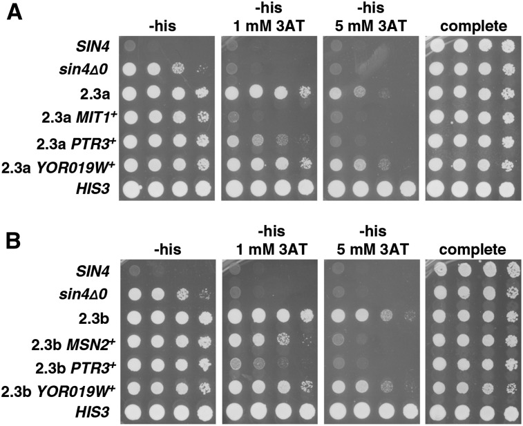 Figure 4