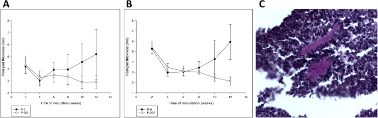 FIG 3