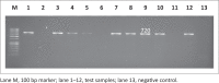 FIGURE 12