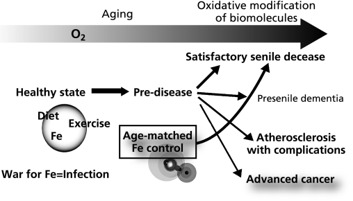 Fig. 3