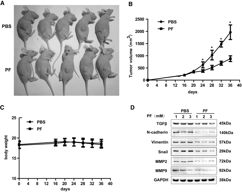 Fig. 8