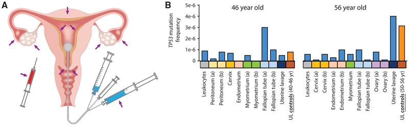 Figure 5.