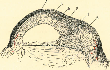 Fig. 10.