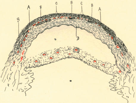 Fig. 20.