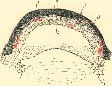 Fig. 21.