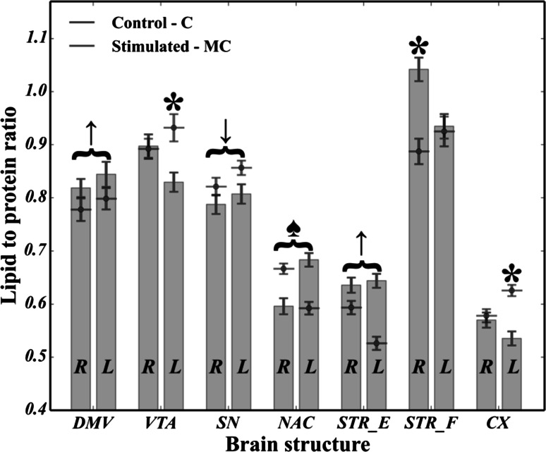 Fig. 7