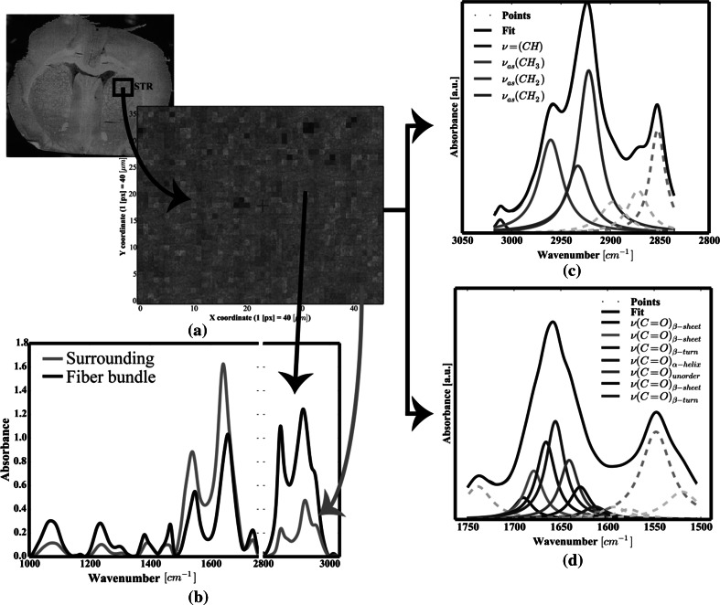 Fig. 3