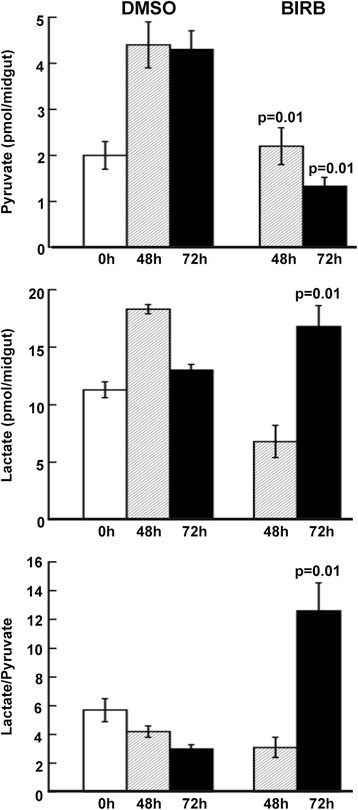 Fig. 10