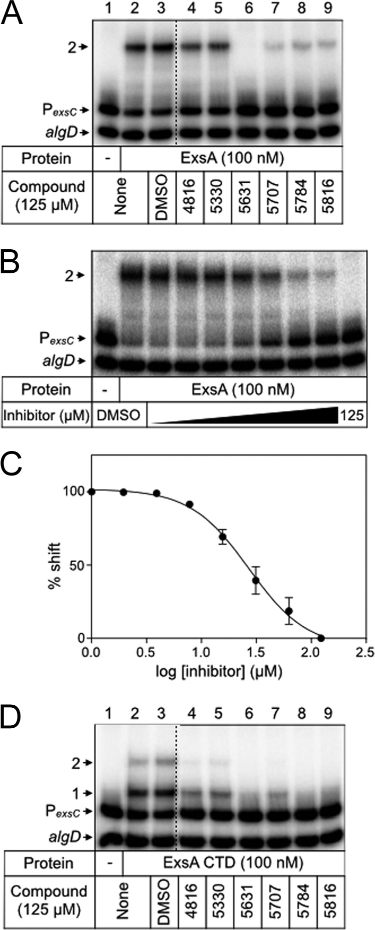 FIG 2