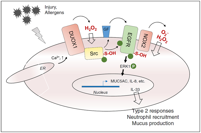 Figure 3: