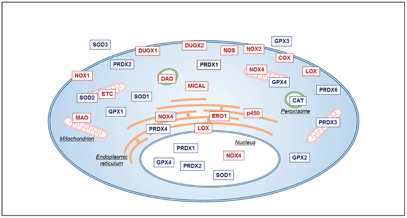 Figure 1: