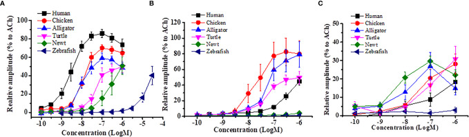 Figure 2