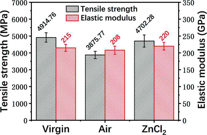 Fig. 12