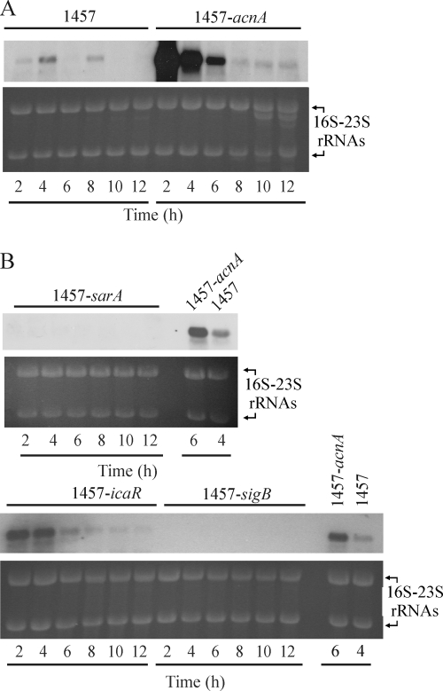 FIG. 6.