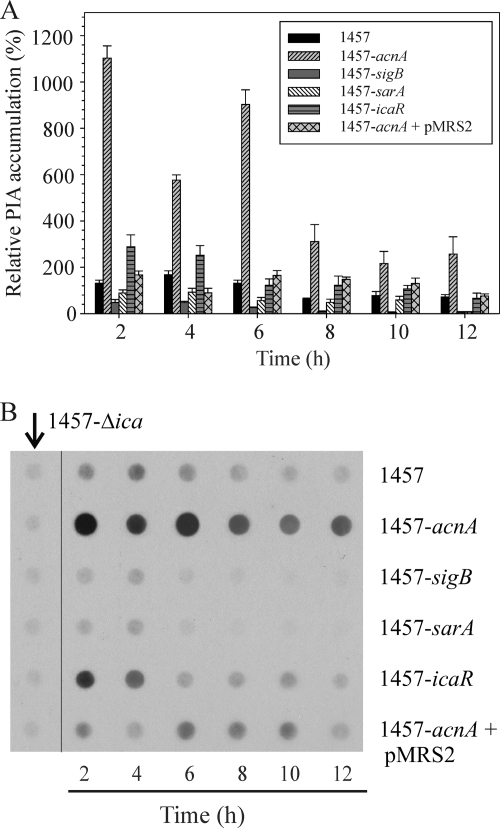 FIG. 5.