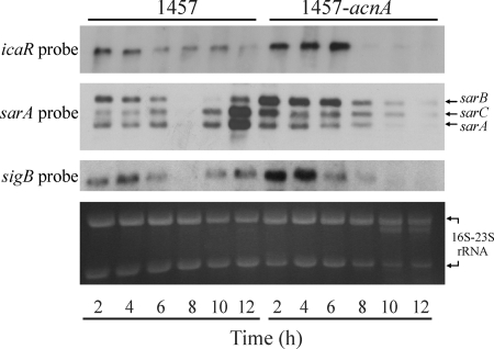 FIG. 7.