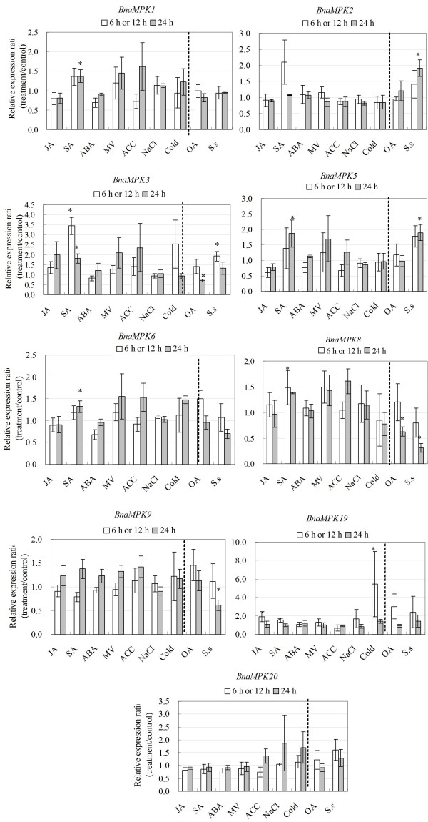 Figure 11