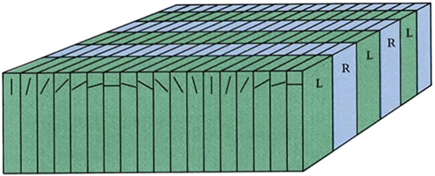 graphic file with name pnas.1319206110fig03.jpg