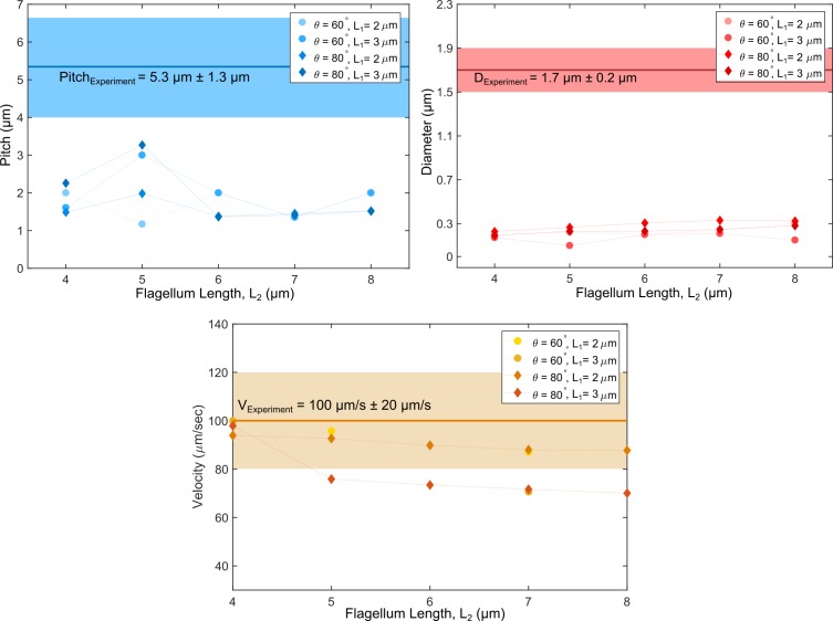 Figure 5—figure supplement 1.