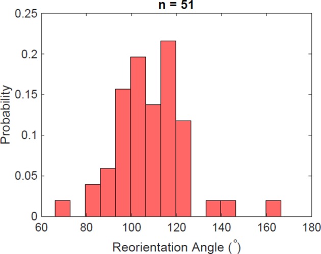 Figure 5—figure supplement 5.